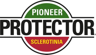 Mieszańce Protector®  Sclerotinia